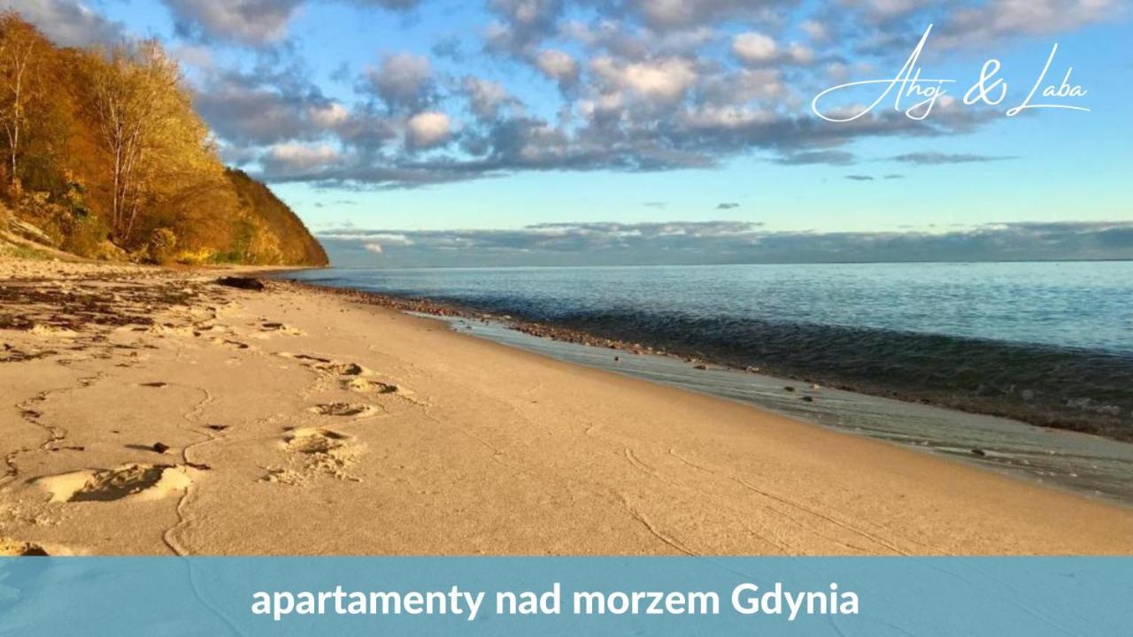 Apartmán Laba - Basen, Blisko Plazy, Cisza, Taras, Parking, Bezplatne Wifi, Wyjatkowy! Gdyně Exteriér fotografie