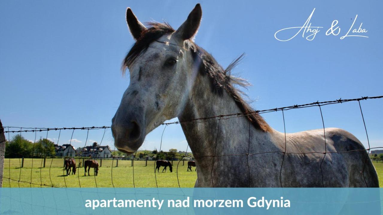Apartmán Laba - Basen, Blisko Plazy, Cisza, Taras, Parking, Bezplatne Wifi, Wyjatkowy! Gdyně Exteriér fotografie