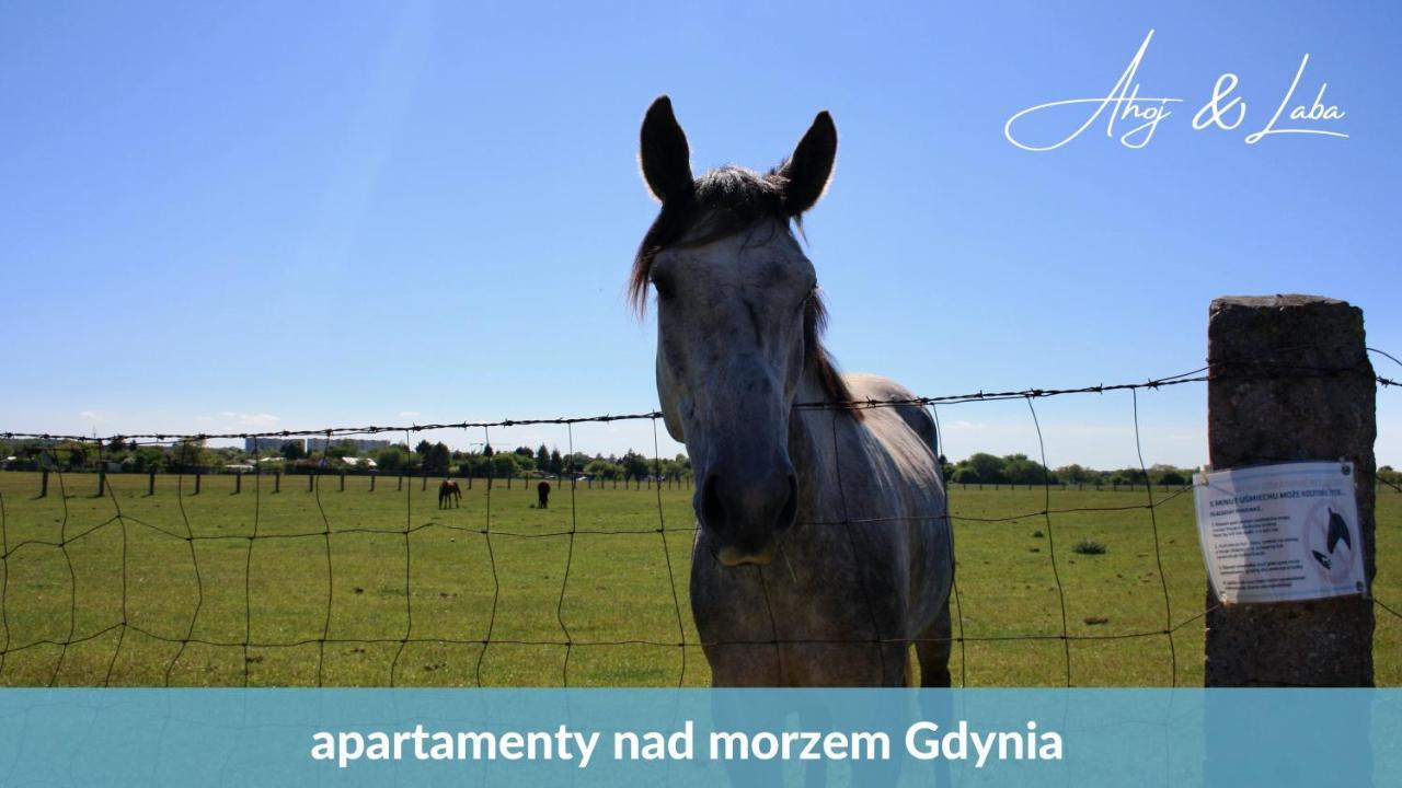 Apartmán Laba - Basen, Blisko Plazy, Cisza, Taras, Parking, Bezplatne Wifi, Wyjatkowy! Gdyně Exteriér fotografie