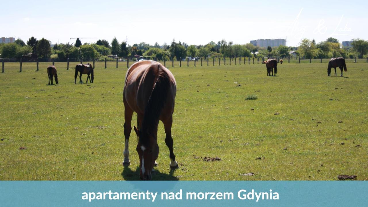 Apartmán Laba - Basen, Blisko Plazy, Cisza, Taras, Parking, Bezplatne Wifi, Wyjatkowy! Gdyně Exteriér fotografie